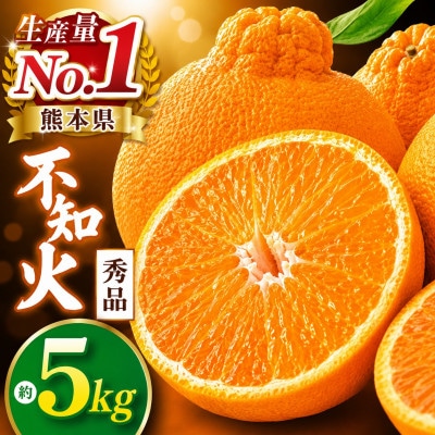 【先行予約】熊本県産不知火　秀品約5kg(玉名市)