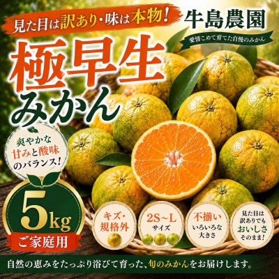 見た目は訳あり・味は本物! 極早生みかん 約5kg 牛島農園 (玉名市)