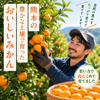 見た目は訳あり・味は本物! 極早生みかん 約5kg 牛島農園 (玉名市)