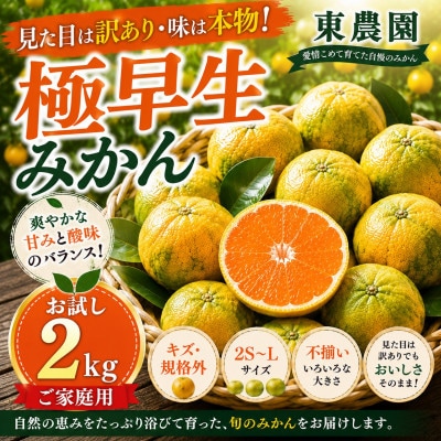 【訳あり】玉名市産 極早生みかんお試し約2kg!キズありだけど中身は本物 東農園 (玉名市)