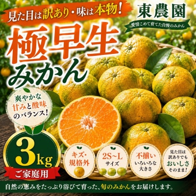 【訳あり】玉名市産 極早生みかん約3kg!キズありだけど中身は本物 東農園 (玉名市)