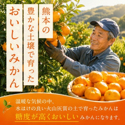 【訳あり】玉名市産 極早生みかん約3kg!キズありだけど中身は本物 東農園 (玉名市)
