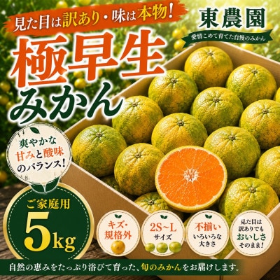 【訳あり】玉名市産 極早生みかん約5kg!キズありだけど中身は本物 東農園 (玉名市)