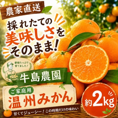 【農家直送】採れたての美味しさをそのまま!ご家庭用温州みかん 約2kg 牛島農園 (玉名市)