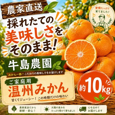 【農家直送】採れたての美味しさをそのまま!ご家庭用温州みかん 約10kg 牛島農園(玉名市)