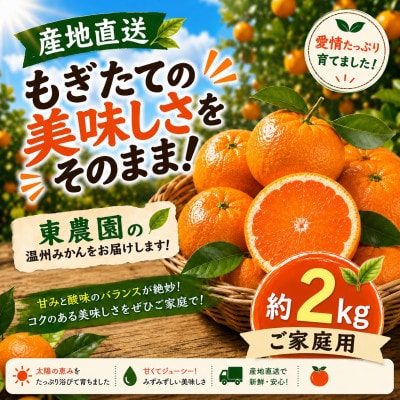 【産地直送】もぎたての美味しさをそのまま!ご家庭用 温州みかん約2kg 東農園(玉名市)