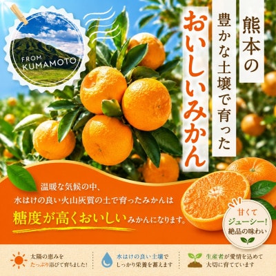【産地直送】もぎたての美味しさをそのまま!ご家庭用 温州みかん約2kg 東農園(玉名市)