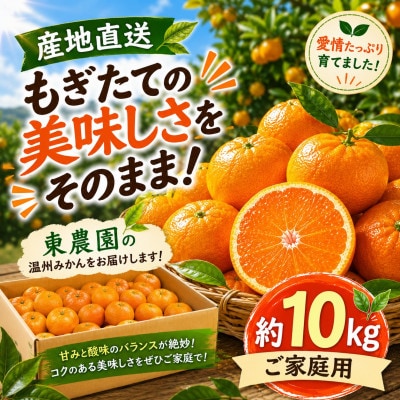 【産地直送】もぎたての美味しさをそのまま!ご家庭用 温州みかん約10kg 東農園(玉名市)