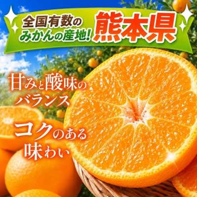 熊本県玉名市産　厳選温州みかん【秀品】約3kg 牛島農園 (玉名市)