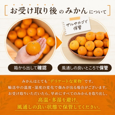 熊本県玉名市産　厳選温州みかん【秀品】約3kg 牛島農園 (玉名市)
