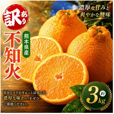 【先行予約】熊本県産訳あり不知火 約3kg (玉名市)