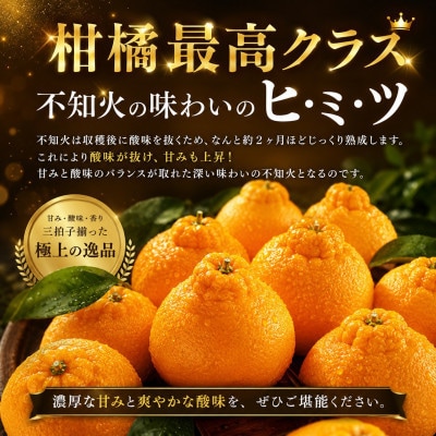 【先行予約】熊本県産訳あり不知火 約3kg (玉名市)