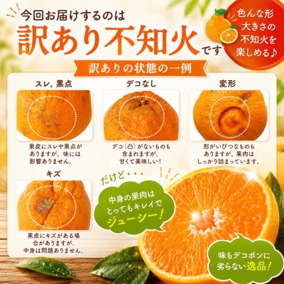 【先行予約】熊本県産訳あり不知火 約3kg (玉名市)