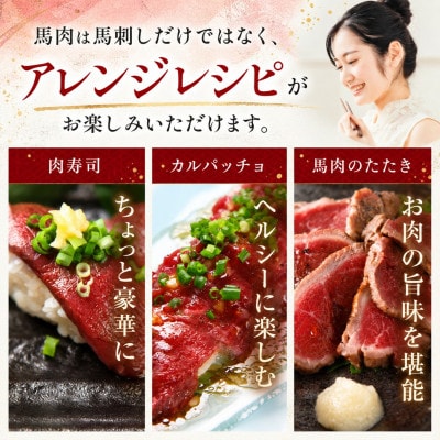 熊本国産 馬刺し 赤身ブロック 900g　専用タレ付(玉名市)