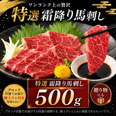 熊本国産　特選霜降り　馬刺しブロック 500g　専用タレ付(玉名市)