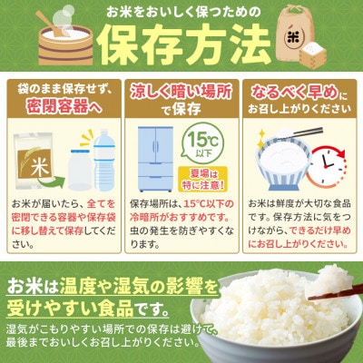 【令和7年産】熊本県玉名市産森のくまさん2kg&ごはんが進む九州名産ふりかけ2袋セット(玉名市)