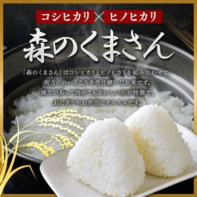 【令和7年産】熊本県玉名市産森のくまさん5kg&有明海産全型焼き海苔20枚セット(玉名市)