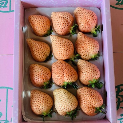 熊本玉名産白いちご『淡雪』化粧箱入り　約400g(玉名市)