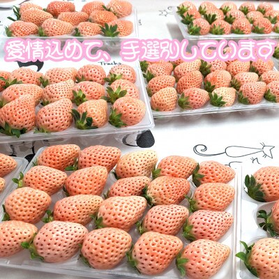 熊本玉名産白いちご『淡雪』化粧箱入り　約400g(玉名市)