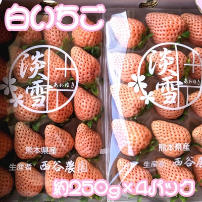 熊本玉名産白いちご『淡雪』4パック　合計約1000g(玉名市)