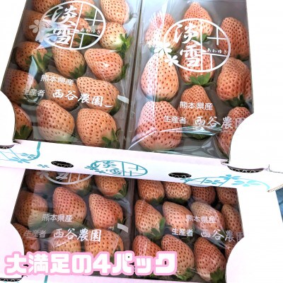 熊本玉名産白いちご『淡雪』4パック　合計約1000g(玉名市)