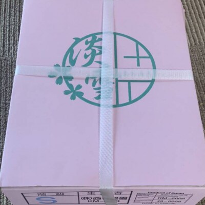 熊本玉名産白いちご『淡雪』2パック　合計約500g(玉名市)