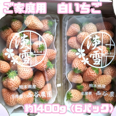 訳あり　白いちご『淡雪』家庭用　約1400g(6パック入り)(玉名市)