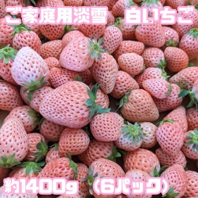 訳あり　白いちご『淡雪』家庭用　約1400g(6パック入り)(玉名市)