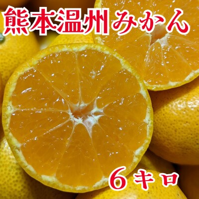 【先行受付】令和5年度産　温州みかん　約6キロ　家庭用(玉名市)