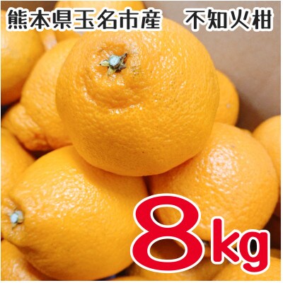 【訳あり】家庭用　不知火約8キロ(玉名市)