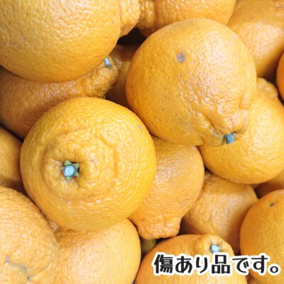 【訳あり】家庭用　不知火約8キロ(玉名市)