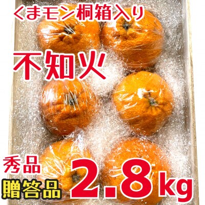 【贈答用】不知火　約2.8キロ(玉名市)