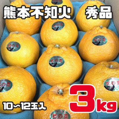 後藤農園の不知火 肥の豊 約3キロ(10玉から12玉入り)(玉名市)