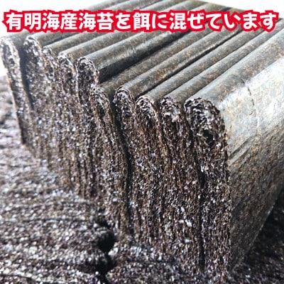 新鮮 生が一番 前ちゃん家のたまご　60玉(玉名市)