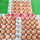 新鮮 生が一番 前ちゃん家のたまご　75玉(玉名市)