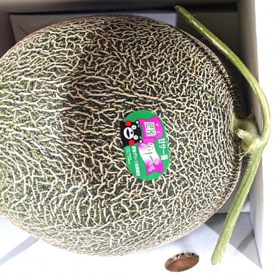 先行受付　肥後グリーンメロン　2玉(1玉約2kg)(玉名市)