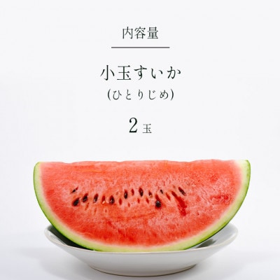 小玉スイカ　2玉セット(1玉約2kg)(玉名市)