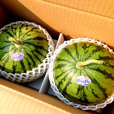 小玉スイカ　2玉セット(1玉約2kg)(玉名市)
