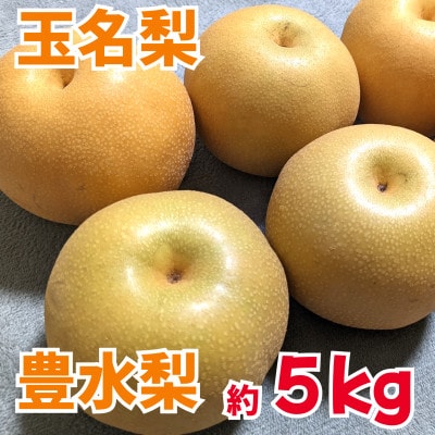 熊本県玉名市産　豊水梨　約5kg(10玉～20玉)(玉名市)