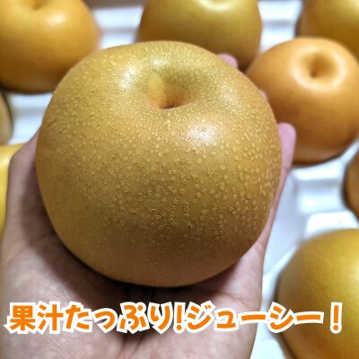 熊本県玉名市産　豊水梨　約5kg(10玉～20玉)(玉名市)
