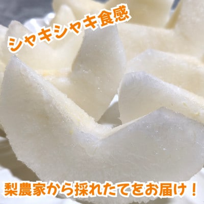 熊本県玉名市産　豊水梨　約5kg(10玉～20玉)(玉名市)