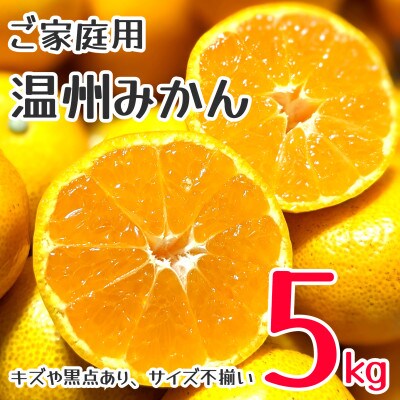 訳あり　家庭用　温州みかん　約5kg(玉名市)