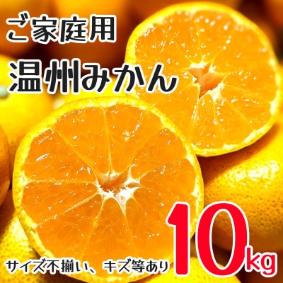 訳あり　家庭用　温州みかん　約10kg(玉名市)