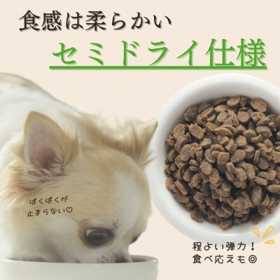 【毎月定期便】国産ドッグフード「やわか」華味鳥100%使用 総合栄養食 1.2kg×全3回