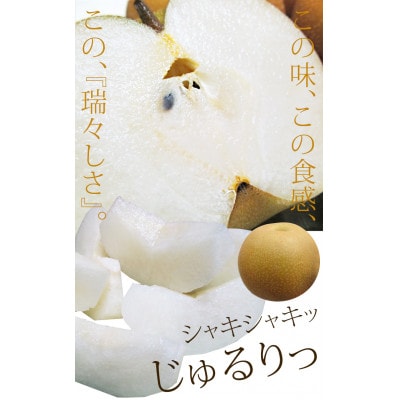熊本県産　玉名梨5kg(玉名市)