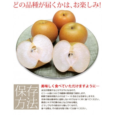熊本県産　玉名梨5kg(玉名市)