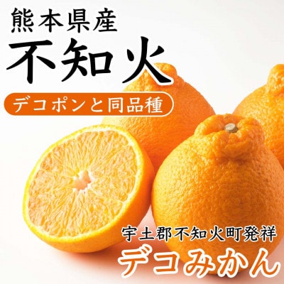 不知火(デコポンと同品種)約2kg(玉名市)
