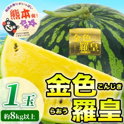 金色羅皇 1玉 3L以上 約8kg以上(玉名市)