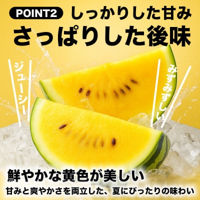 金色羅皇 2玉 3L以上 約16kg(玉名市)