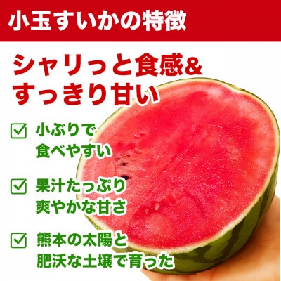 小玉すいか・肥後グリーンメロン食べ比べ 合計4玉(2玉×2種類)約7kg(玉名市)